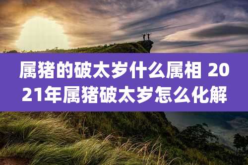 属猪的破太岁什么属相 2021年属猪破太岁怎么化解