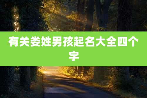 有关娄姓男孩起名大全四个字