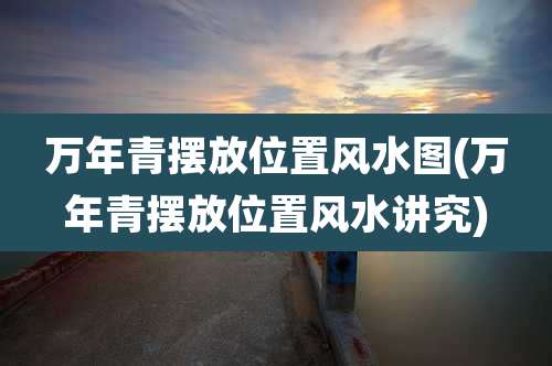 万年青摆放位置风水图(万年青摆放位置风水讲究)