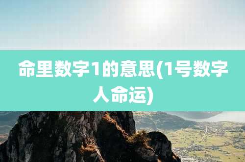 命里数字1的意思(1号数字人命运)