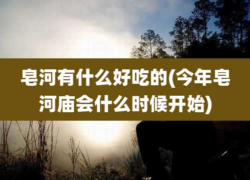 皂河有什么好吃的(今年皂河庙会什么时候开始)