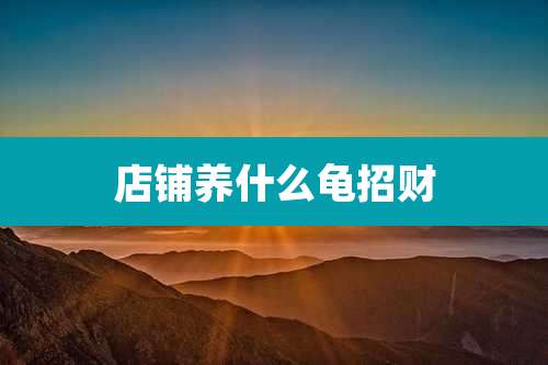 店铺养什么龟招财