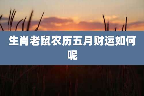 生肖老鼠农历五月财运如何呢