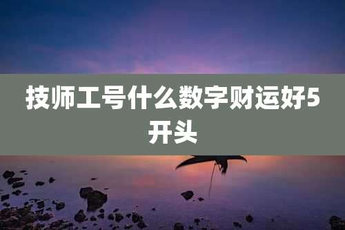 技师工号什么数字财运好5开头