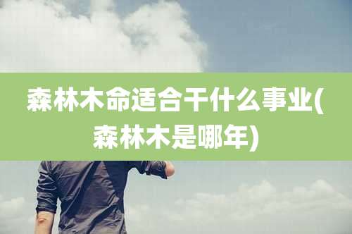 森林木命适合干什么事业(森林木是哪年)