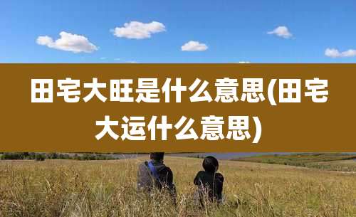 田宅大旺是什么意思(田宅大运什么意思)