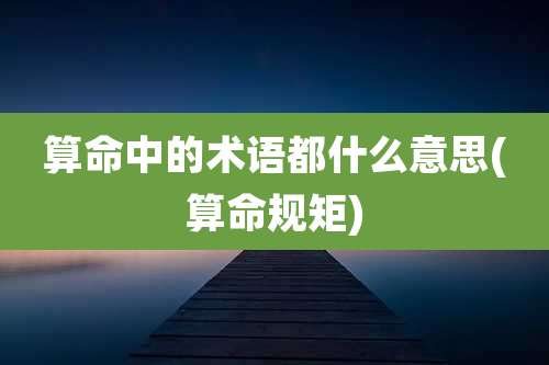算命中的术语都什么意思(算命规矩)
