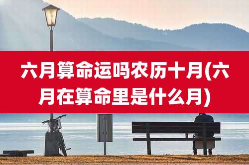 六月算命运吗农历十月(六月在算命里是什么月)