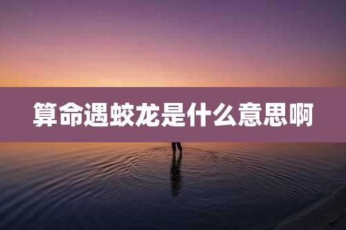 算命遇蛟龙是什么意思啊