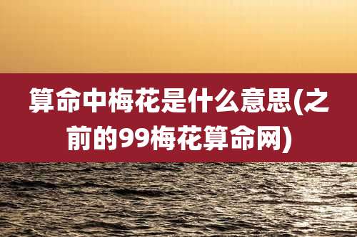 算命中梅花是什么意思(之前的99梅花算命网)