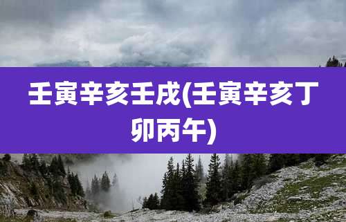 壬寅辛亥壬戌(壬寅辛亥丁卯丙午)
