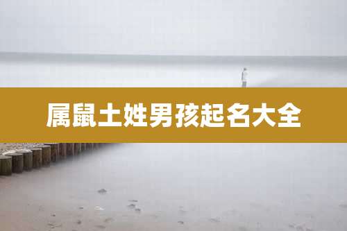 属鼠土姓男孩起名大全