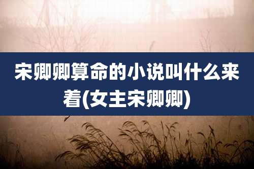 宋卿卿算命的小说叫什么来着(女主宋卿卿)