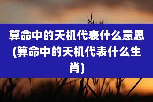 算命中的天机代表什么意思(算命中的天机代表什么生肖)