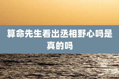 算命先生看出丞相野心吗是真的吗