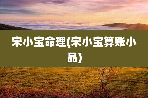 宋小宝命理(宋小宝算账小品)