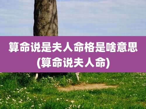 算命说是夫人命格是啥意思(算命说夫人命)