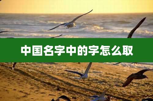 中国名字中的字怎么取