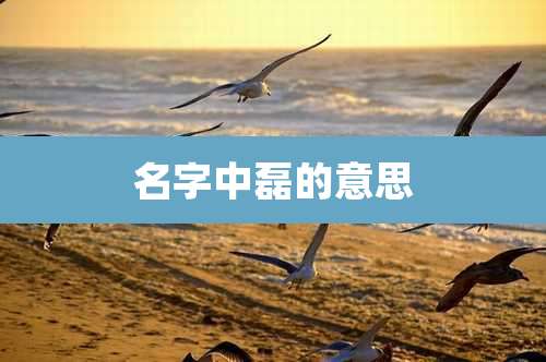 名字中磊的意思