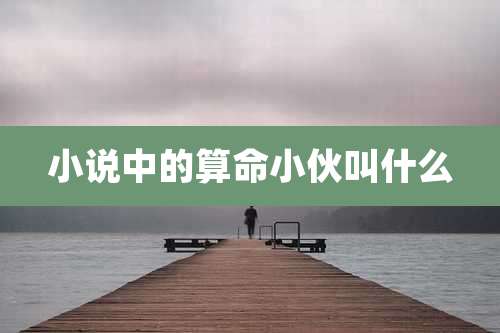 小说中的算命小伙叫什么