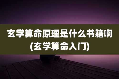 玄学算命原理是什么书籍啊(玄学算命入门)