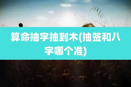 算命抽字抽到木(抽签和八字哪个准)