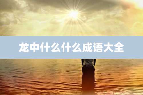龙中什么什么成语大全