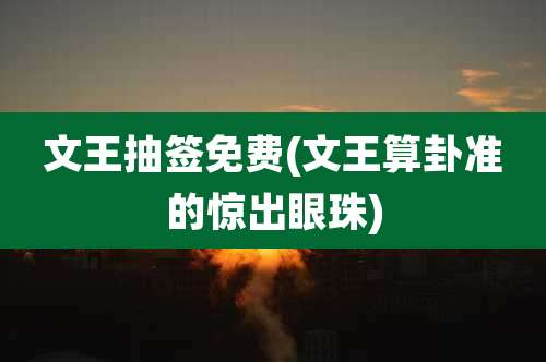 文王抽签免费(文王算卦准的惊出眼珠)