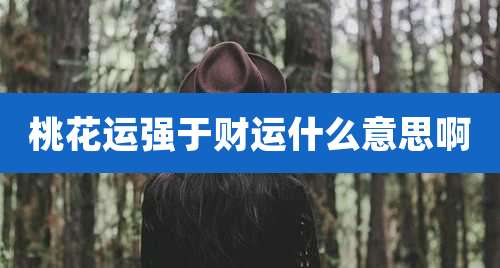 桃花运强于财运什么意思啊