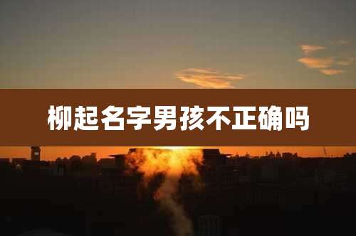 柳起名字男孩不正确吗