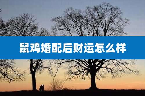 鼠鸡婚配后财运怎么样