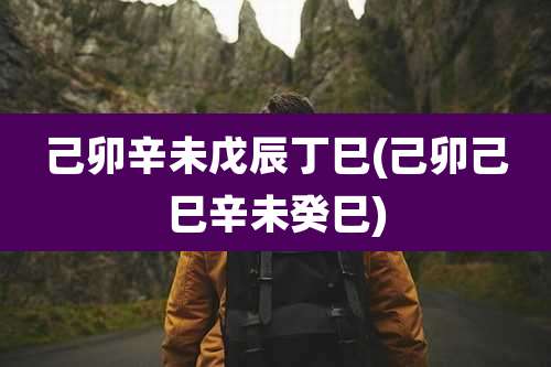 己卯辛未戊辰丁巳(己卯己巳辛未癸巳)