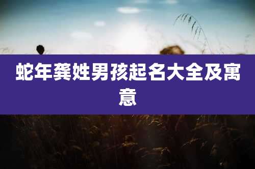 蛇年龚姓男孩起名大全及寓意