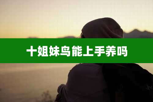 十姐妹鸟能上手养吗