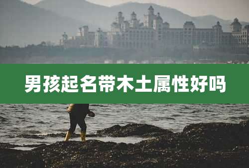 男孩起名带木土属性好吗