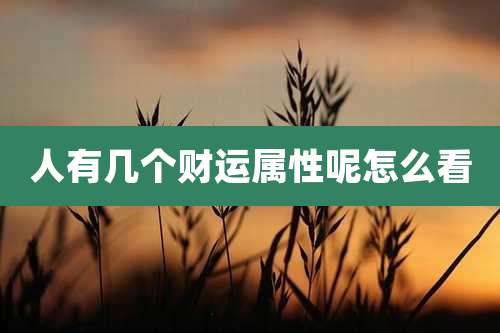 人有几个财运属性呢怎么看