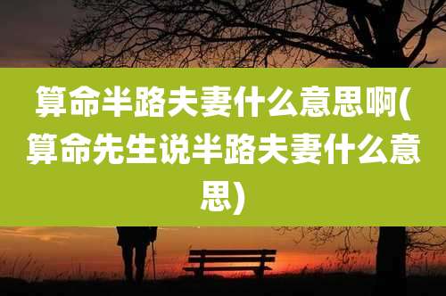 算命半路夫妻什么意思啊(算命先生说半路夫妻什么意思)