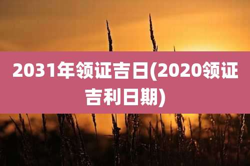 2031年领证吉日(2020领证吉利日期)