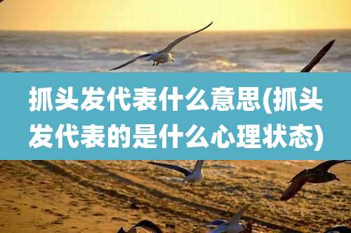 抓头发代表什么意思(抓头发代表的是什么心理状态)
