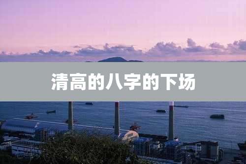 清高的八字的下场