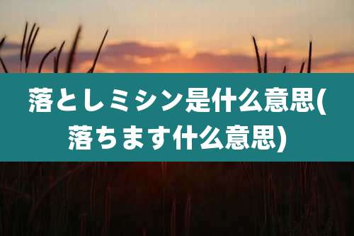 落としミシン是什么意思(落ちます什么意思)