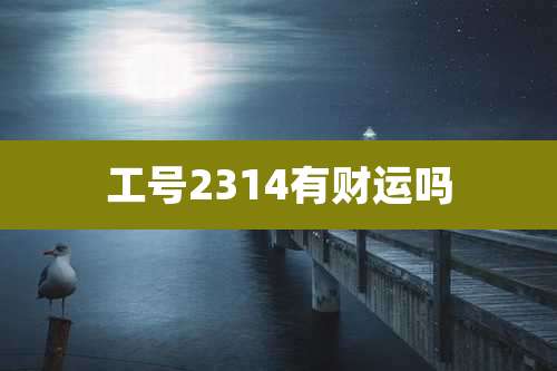 工号2314有财运吗