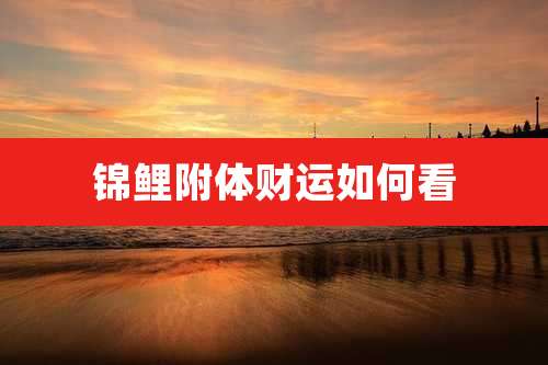 锦鲤附体财运如何看