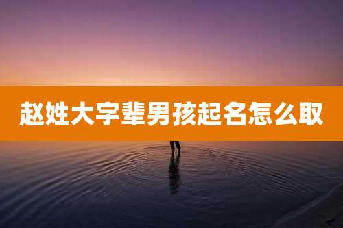 赵姓大字辈男孩起名怎么取