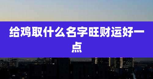给鸡取什么名字旺财运好一点