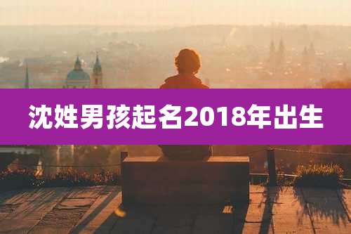 沈姓男孩起名2018年出生