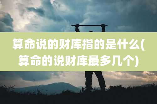 算命说的财库指的是什么(算命的说财库最多几个)