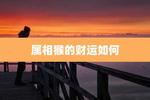 属相猴的财运如何