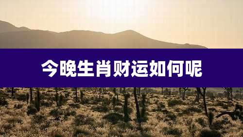 今晚生肖财运如何呢