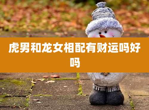 虎男和龙女相配有财运吗好吗